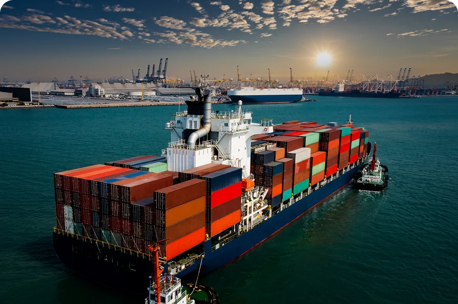 Fast and reliable Shipping godsGuarantee Trusted…